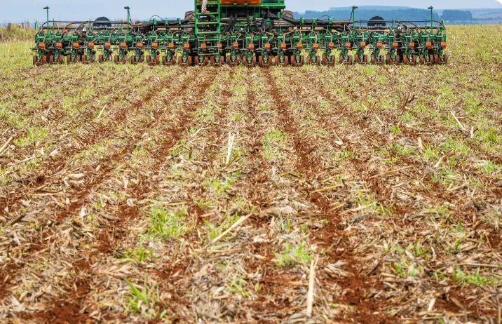 Plantio de soja atinge 1,15% em Mato Grosso; indicadores de preço caem no Paraná