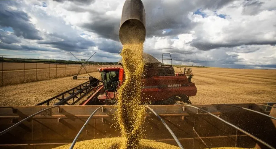 Exportações do agronegócio gaúcho atingem US$ 3,8 bilhões no 2º trimestre de 2026