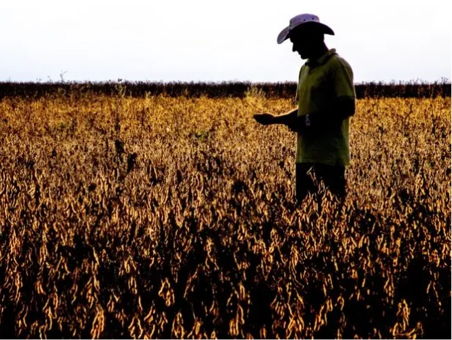 Pedidos de recuperação judicial no agronegócio caem 20,7% no 2º trimestre de 2026
