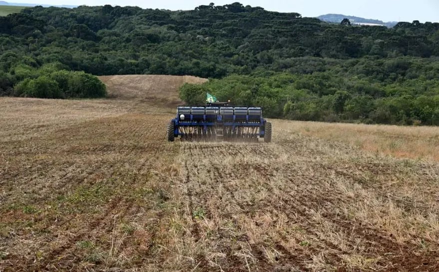 Plantio de soja no Paraná atinge 39%, mas chuvas geram atrasos e custos extras