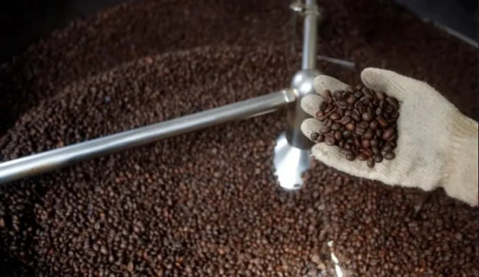 Preocupações com El Niño impulsionam preços futuros do café Arábica e Robusta