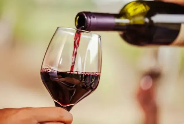34ª Avaliação Nacional de Vinhos destaca a diversidade da safra 2026 no Brasil