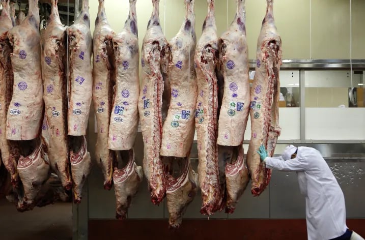 Exportações do Brasil para a UE crescem 30,7%, mas bloco impõe veto a proteínas animais