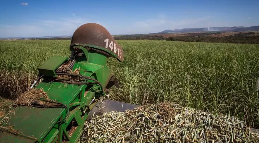 Açúcar cristal e etanol sobem no mercado interno, enquanto contrato em Nova York fecha a 19,10 centavos