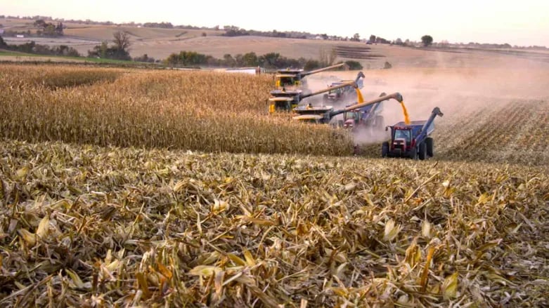 USDA corrige dados de setembro por erro de processamento e projeta safra maior de milho nos EUA em outubro