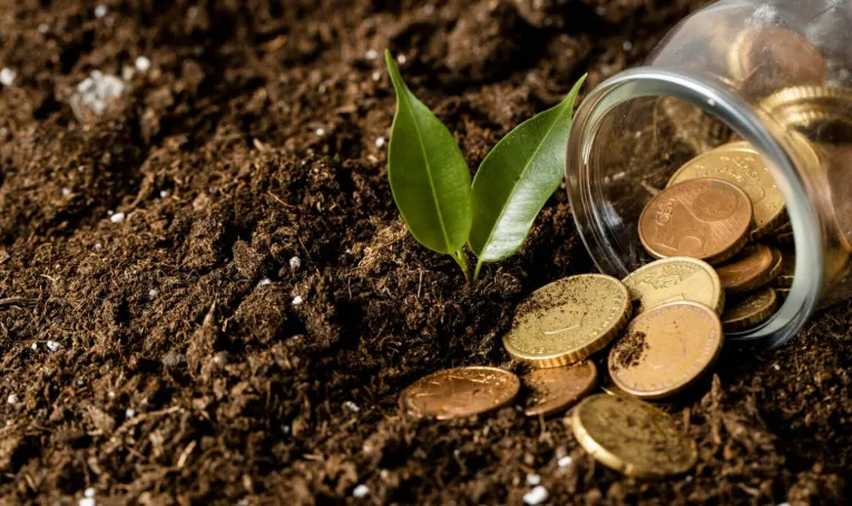 MP 1.376/2026 sobre dívidas rurais é publicada; setor estima impacto de até R$ 100 bilhões
