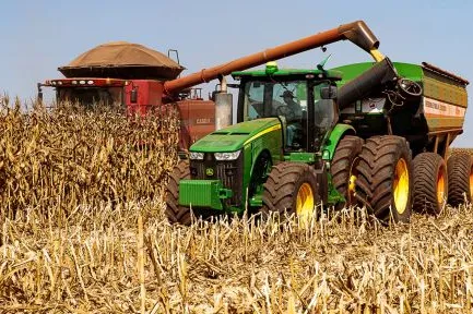 Mato Grosso colhe 99,1% da segunda safra de milho