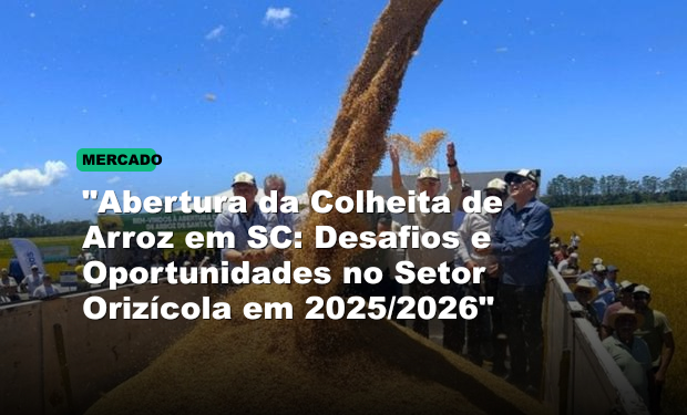 "Abertura da Colheita de Arroz em SC: Desafios e Oportunidades no Setor Orizícola em 2025/2026"