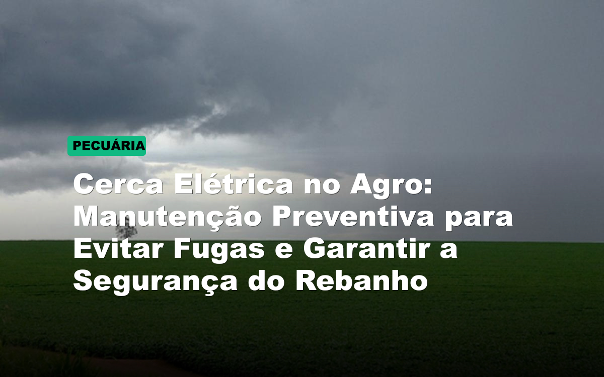 Cerca Elétrica no Agro: Manutenção Preventiva para Evitar Fugas e Garantir a Segurança do Rebanho