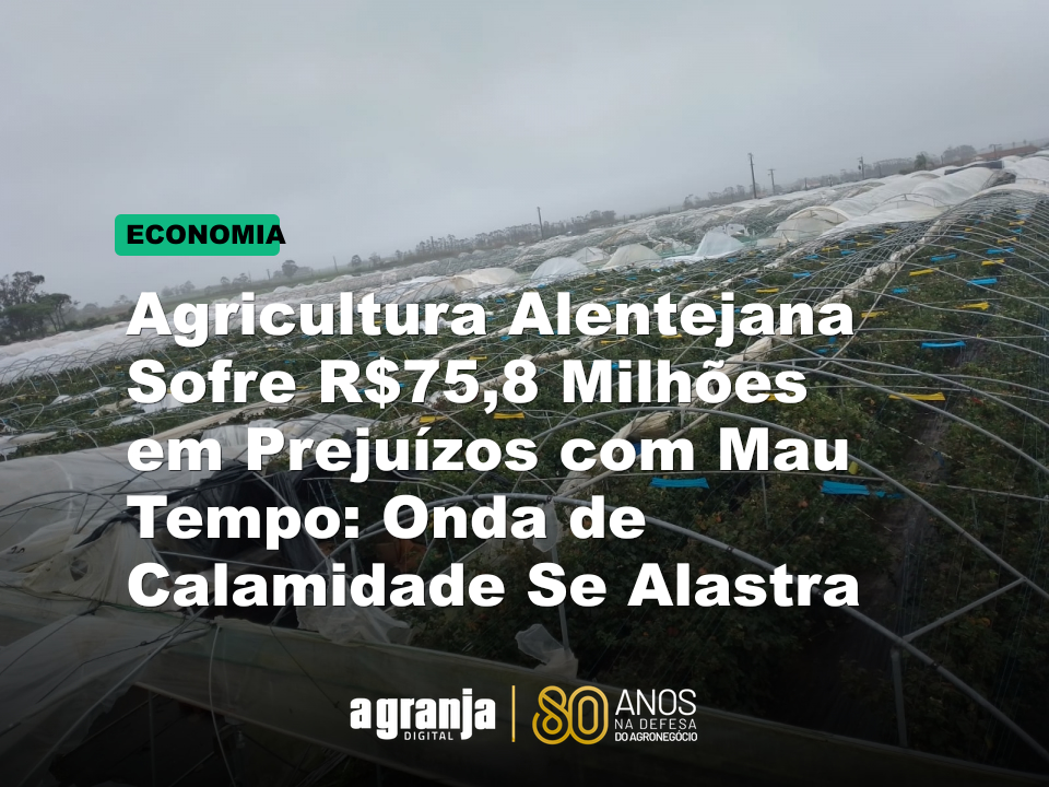 Agricultura Alentejana Sofre R$75,8 Milhões em Prejuízos com Mau Tempo: Onda de Calamidade Se Alastra