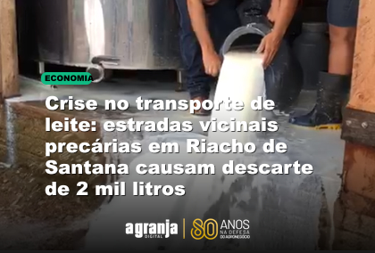 Crise no transporte de leite: estradas vicinais precárias em Riacho de Santana causam descarte de 2 mil litros