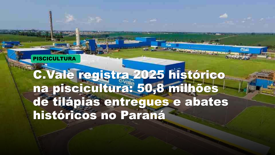 C.Vale registra 2025 histórico na piscicultura: 50,8 milhões de tilápias entregues e abates históricos no Paraná