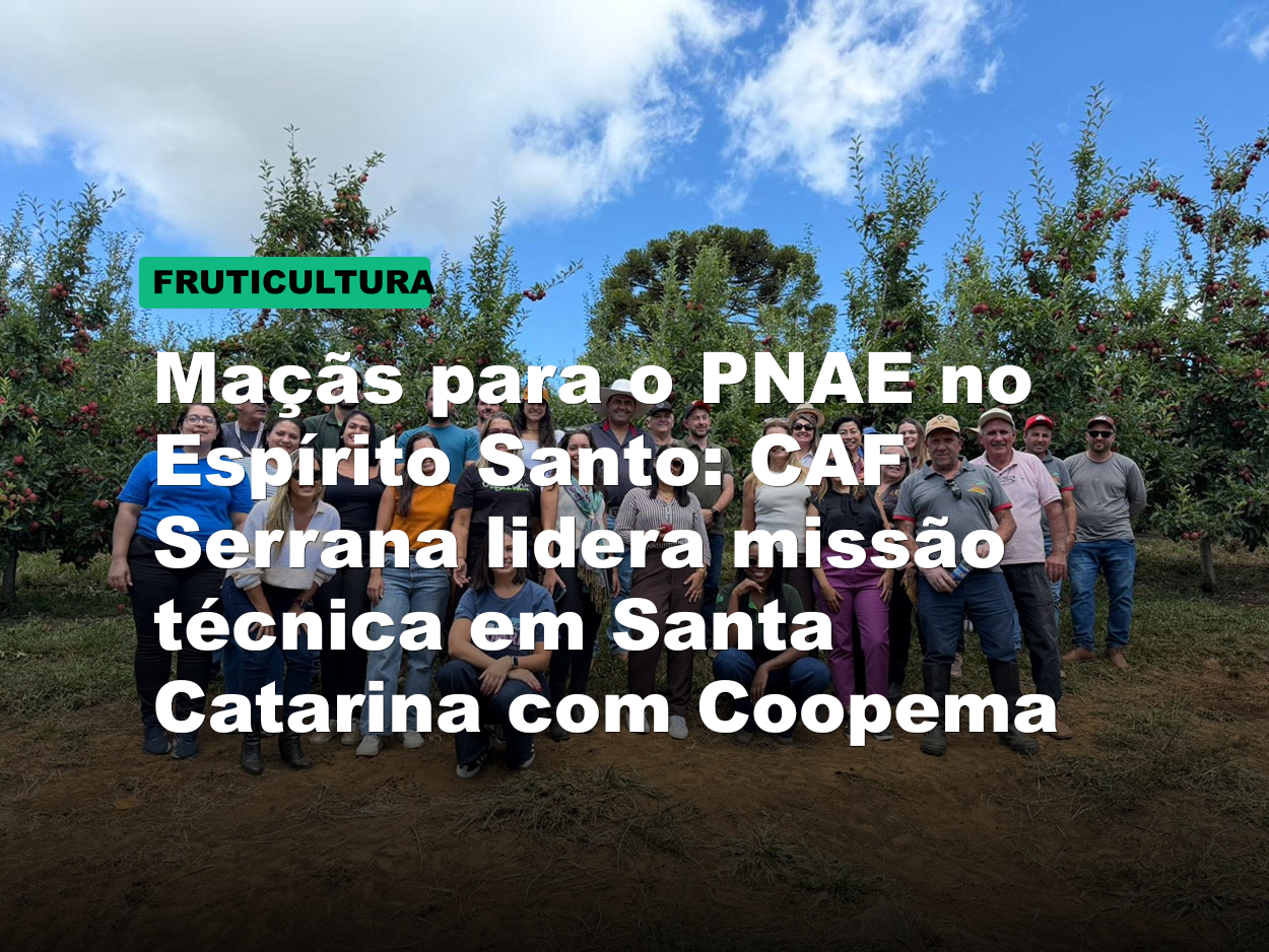 Maçãs para o PNAE no Espírito Santo: CAF Serrana lidera missão técnica em Santa Catarina com Coopema