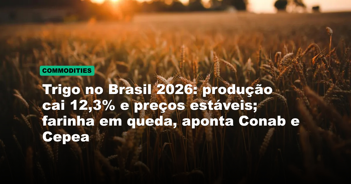 Trigo no Brasil 2026: produção cai 12,3% e preços estáveis; farinha em queda, aponta Conab e Cepea