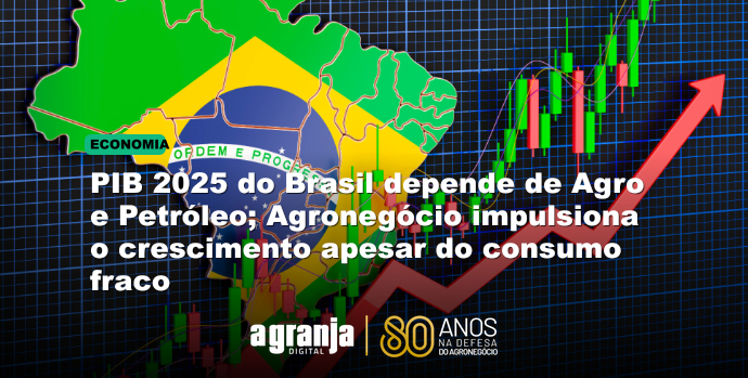 PIB 2025 do Brasil depende de Agro e Petróleo; Agronegócio impulsiona o crescimento apesar do consumo fraco