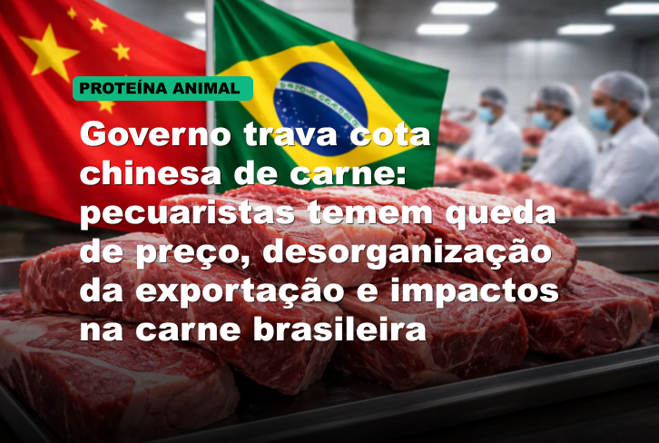 Governo trava cota chinesa de carne: pecuaristas temem queda de preço, desorganização da exportação e impactos na carne brasileira