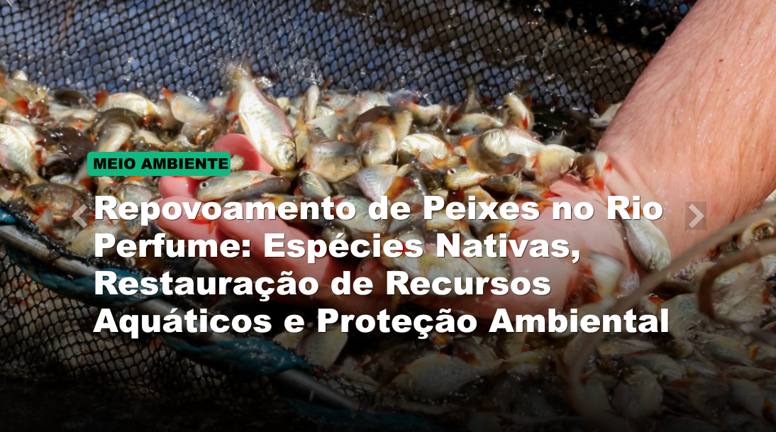 Repovoamento de Peixes no Rio Perfume: Espécies Nativas, Restauração de Recursos Aquáticos e Proteção Ambiental