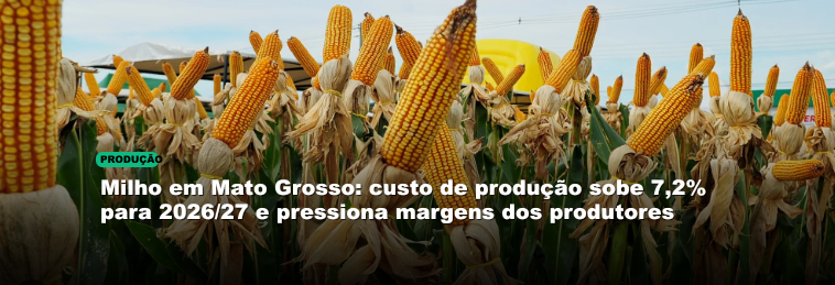 Milho em Mato Grosso: custo de produção sobe 7,2% para 2026/27 e pressiona margens dos produtores