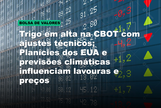 Trigo em alta na CBOT com ajustes técnicos; Planícies dos EUA e previsões climáticas influenciam lavouras e preços
