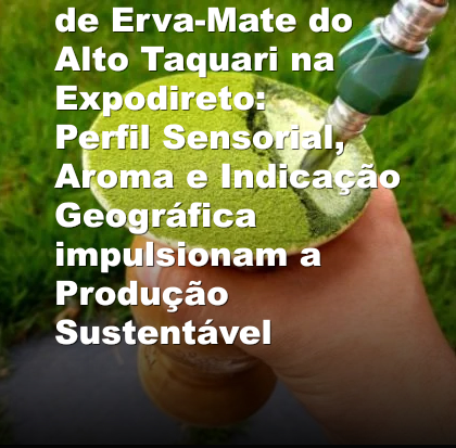 Degustação Guiada de Erva-Mate do Alto Taquari na Expodireto: Perfil Sensorial, Aroma e Indicação Geográfica impulsionam a Produção Sustentável