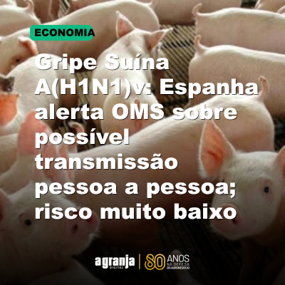 Gripe Suína A(H1N1)v: Espanha alerta OMS sobre possível transmissão pessoa a pessoa; risco muito baixo
