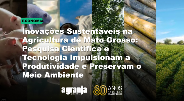 Inovações Sustentáveis na Agricultura de Mato Grosso: Pesquisa Científica e Tecnologia Impulsionam a Produtividade e Preservam o Meio Ambiente