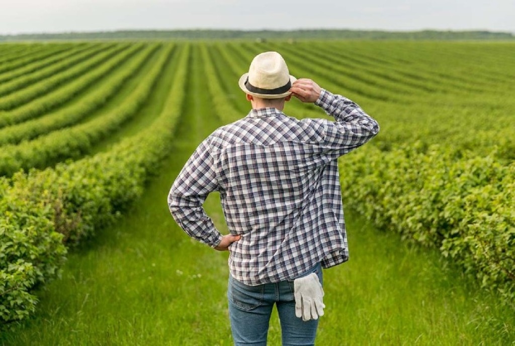 Reforma Tributária: Impactos no Agronegócio e a Inovadora Nota Fiscal Fácil para Produtores Rurais