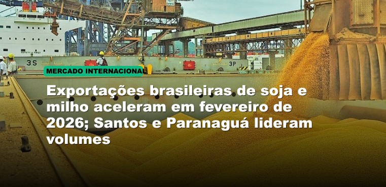Exportações brasileiras de soja e milho aceleram em fevereiro de 2026; Santos e Paranaguá lideram volumes