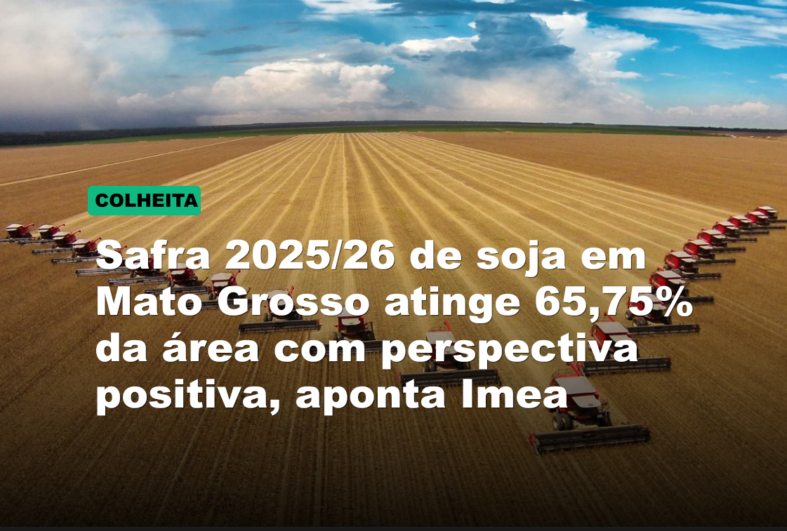 Safra 2025/26 de soja em Mato Grosso atinge 65,75% da área com perspectiva positiva, aponta Imea