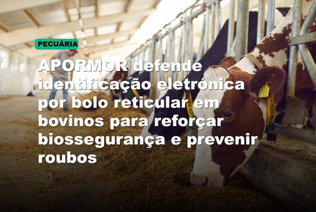 APORMOR defende identificação eletrónica por bolo reticular em bovinos para reforçar biossegurança e prevenir roubos