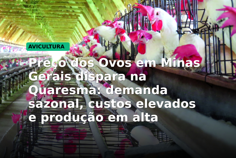Preço dos Ovos em Minas Gerais dispara na Quaresma: demanda sazonal, custos elevados e produção em alta