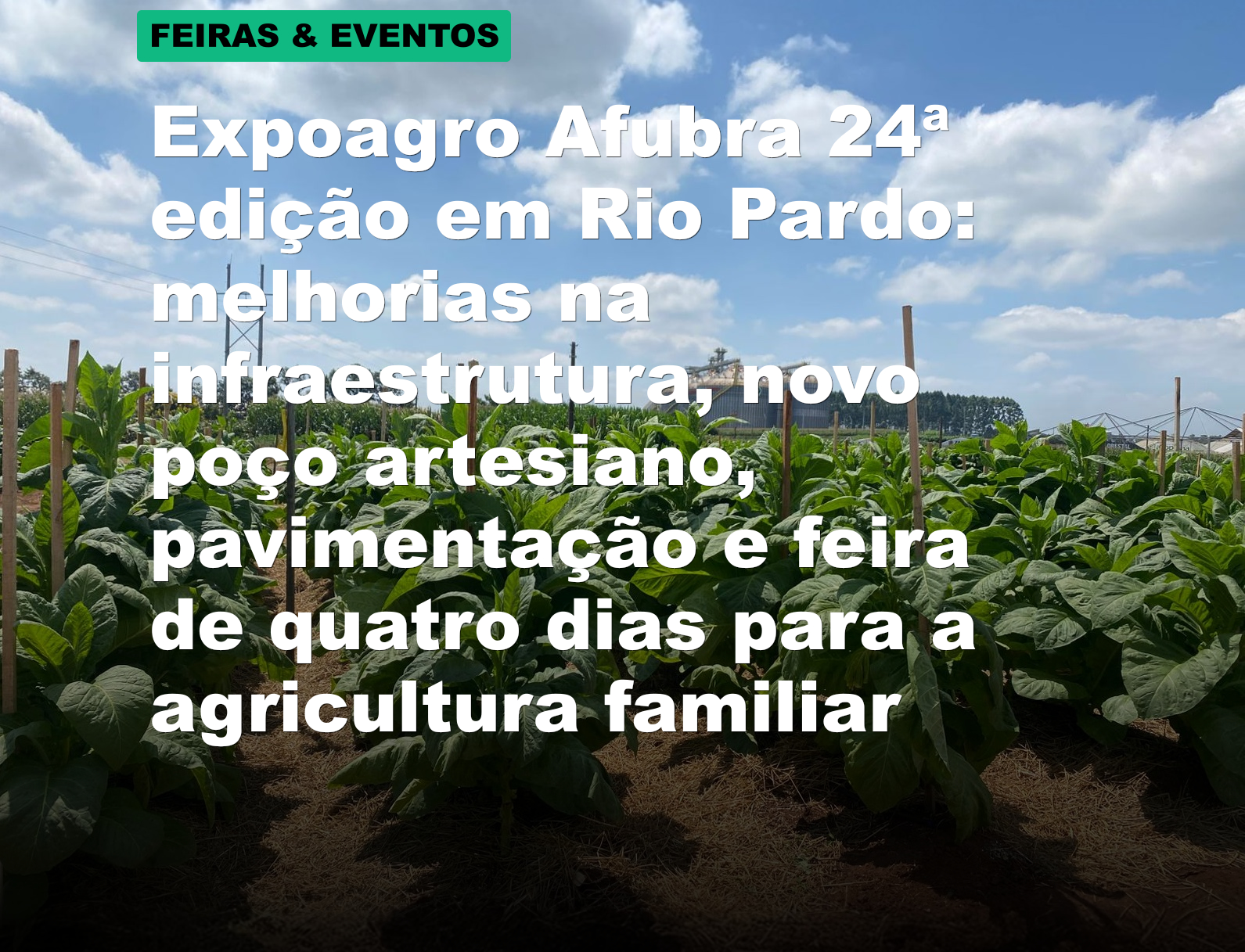 Expoagro Afubra 24ª edição em Rio Pardo: melhorias na infraestrutura, novo poço artesiano, pavimentação e feira de quatro dias para a agricultura familiar