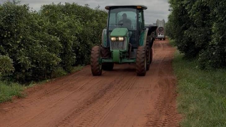 Citricultura baiana em expansão: Bahia mira novos mercados e a criação de agroindústrias no agronegócio