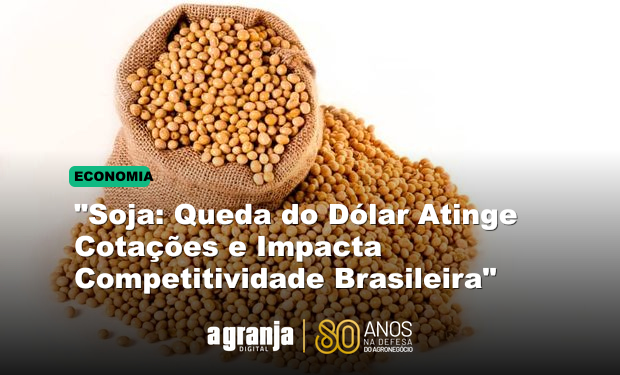 "Soja: Queda do Dólar Atinge Cotações e Impacta Competitividade Brasileira"