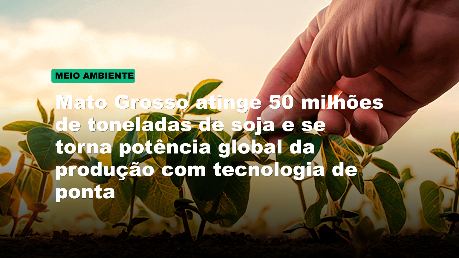 Mato Grosso atinge 50 milhões de toneladas de soja e se torna potência global da produção com tecnologia de ponta
