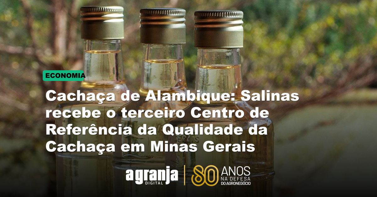 Cachaça de Alambique: Salinas recebe o terceiro Centro de Referência da Qualidade da Cachaça em Minas Gerais