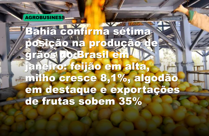 Bahia confirma sétima posição na produção de grãos do Brasil em janeiro: feijão em alta, milho cresce 8,1%, algodão em destaque e exportações de frutas sobem 35%