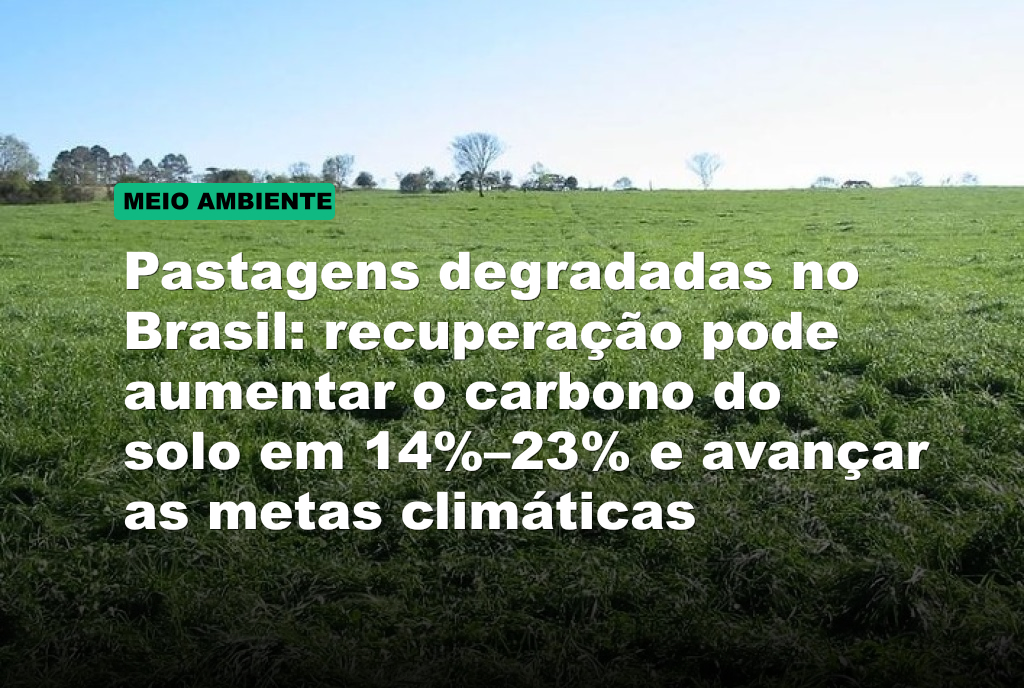 Pastagens degradadas no Brasil: recuperação pode aumentar o carbono do solo em 14%–23% e avançar as metas climáticas