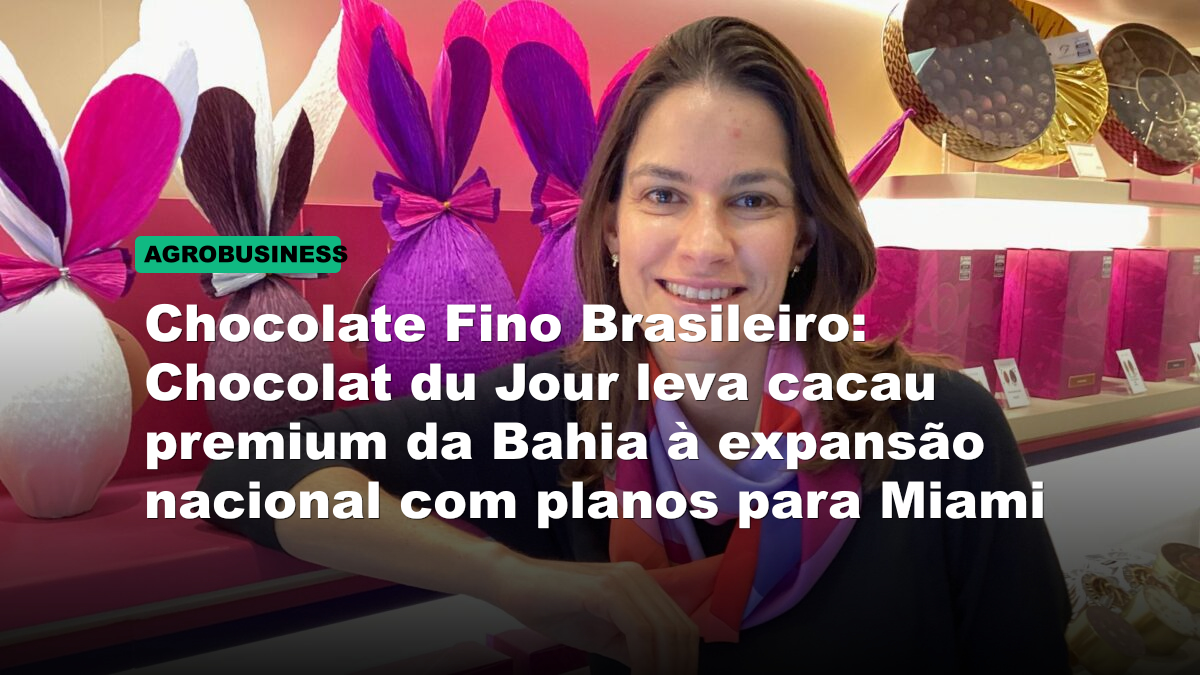 Chocolate Fino Brasileiro: Chocolat du Jour leva cacau premium da Bahia à expansão nacional com planos para Miami