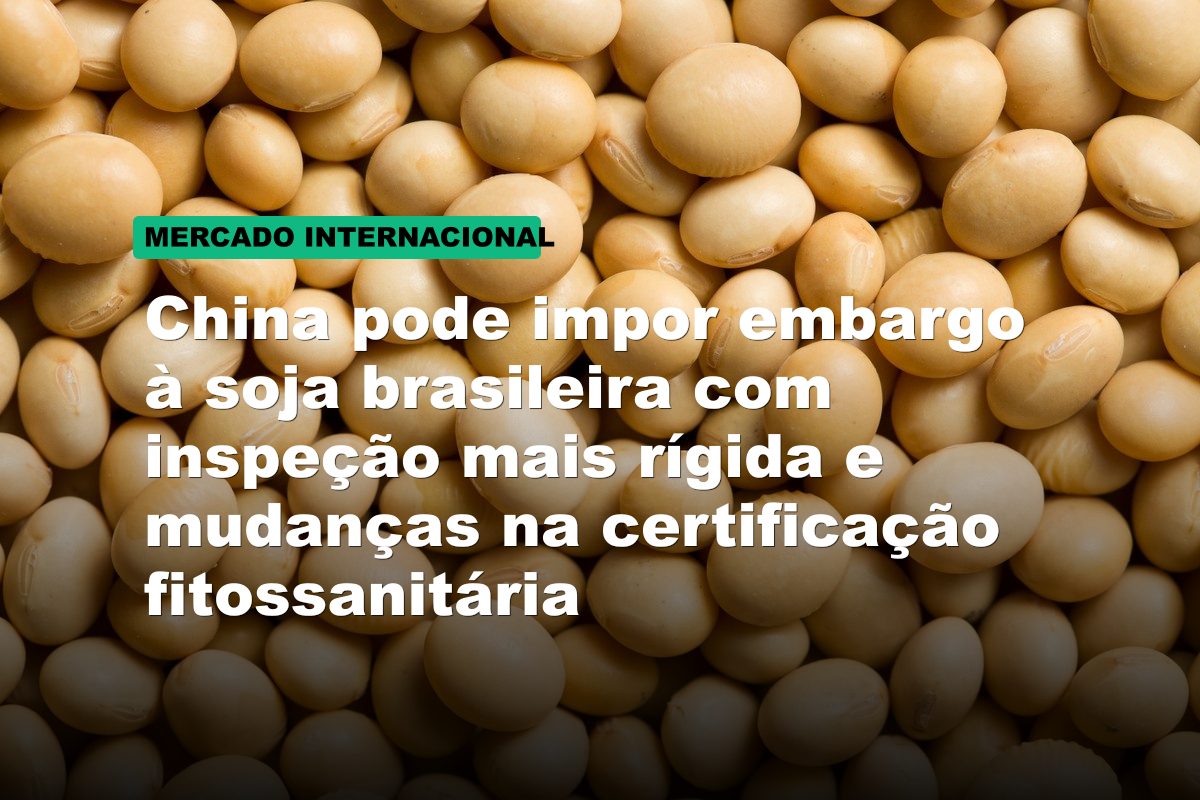 China pode impor embargo à soja brasileira com inspeção mais rígida e mudanças na certificação fitossanitária