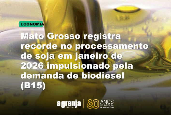 Mato Grosso registra recorde no processamento de soja em janeiro de 2026 impulsionado pela demanda de biodiesel (B15)