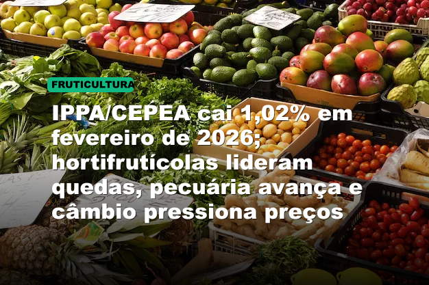 IPPA/CEPEA cai 1,02% em fevereiro de 2026; hortifrutícolas lideram quedas, pecuária avança e câmbio pressiona preços