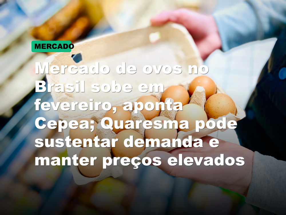 Mercado de ovos no Brasil sobe em fevereiro, aponta Cepea; Quaresma pode sustentar demanda e manter preços elevados