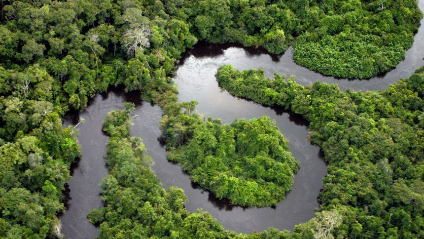 BNDES Investe R$4,3 Bilhões em Fundos para Descarbonização e Restauração Ambiental no Brasil