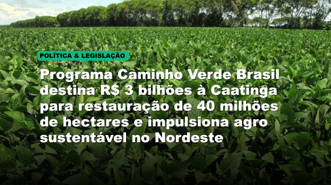 Programa Caminho Verde Brasil destina R$ 3 bilhões à Caatinga para restauração de 40 milhões de hectares e impulsiona agro sustentável no Nordeste
