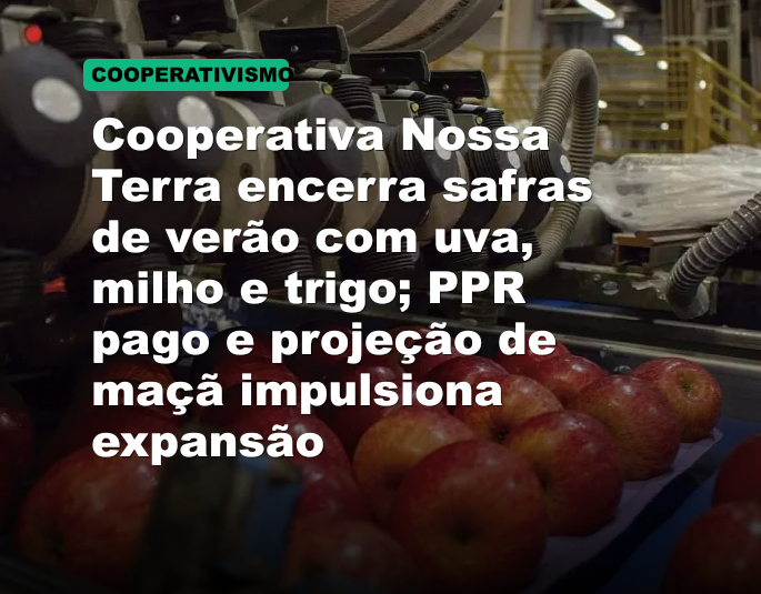 Cooperativa Nossa Terra encerra safras de verão com uva, milho e trigo; PPR pago e projeção de maçã impulsiona expansão
