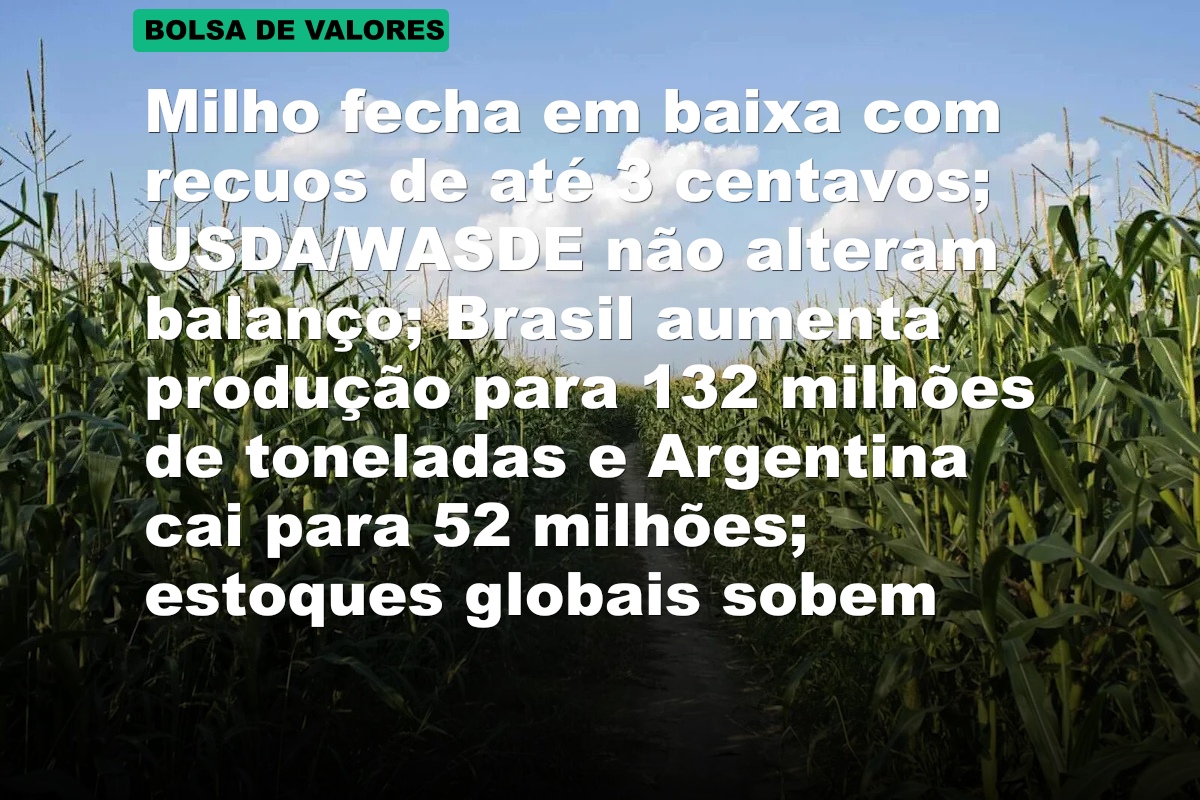 Milho fecha em baixa com recuos de até 3 centavos; USDA/WASDE não alteram balanço; Brasil aumenta produção para 132 milhões de toneladas e Argentina cai para 52 milhões; estoques globais sobem