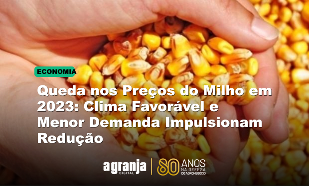 Queda nos Preços do Milho em 2023: Clima Favorável e Menor Demanda Impulsionam Redução