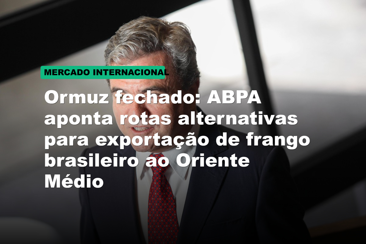Ormuz fechado: ABPA aponta rotas alternativas para exportação de frango brasileiro ao Oriente Médio