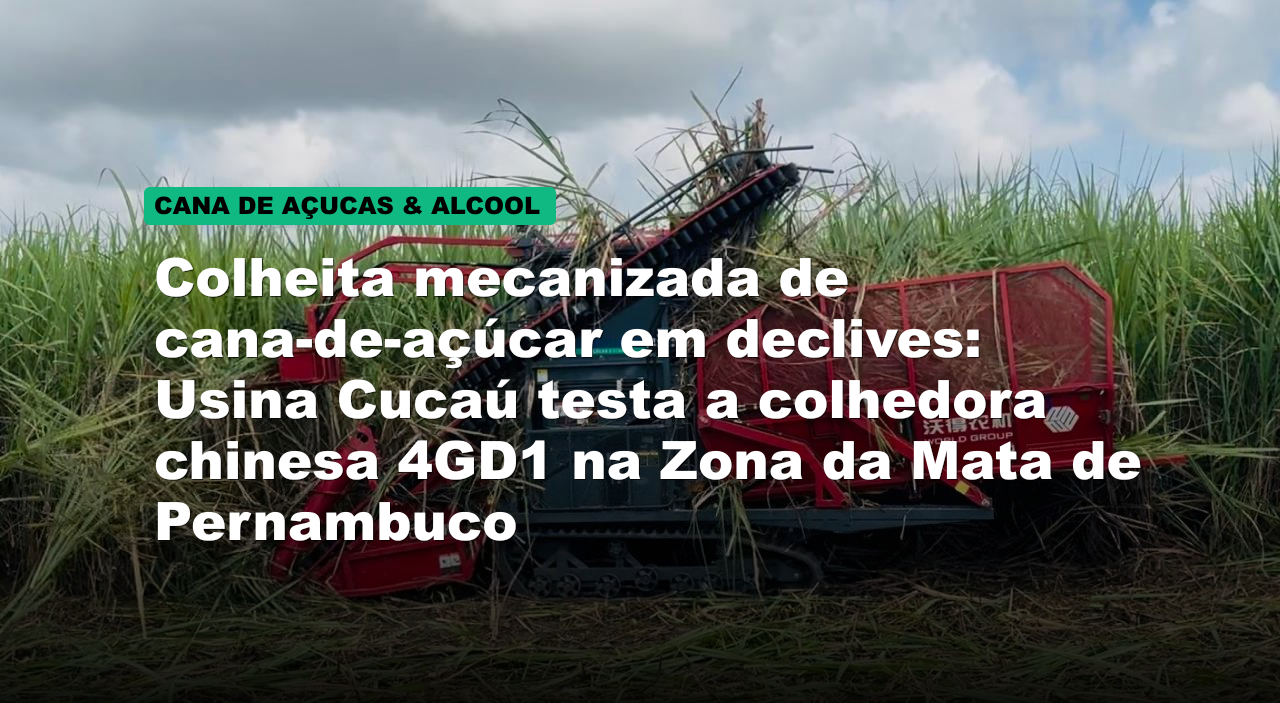 Colheita mecanizada de cana-de-açúcar em declives: Usina Cucaú testa a colhedora chinesa 4GD1 na Zona da Mata de Pernambuco